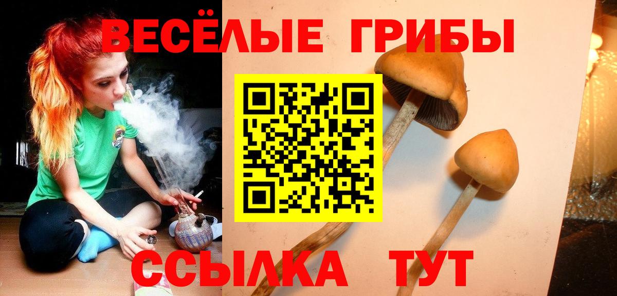 Галлюциногенные грибы Psilocybe  Вход с VPN  Крымск 